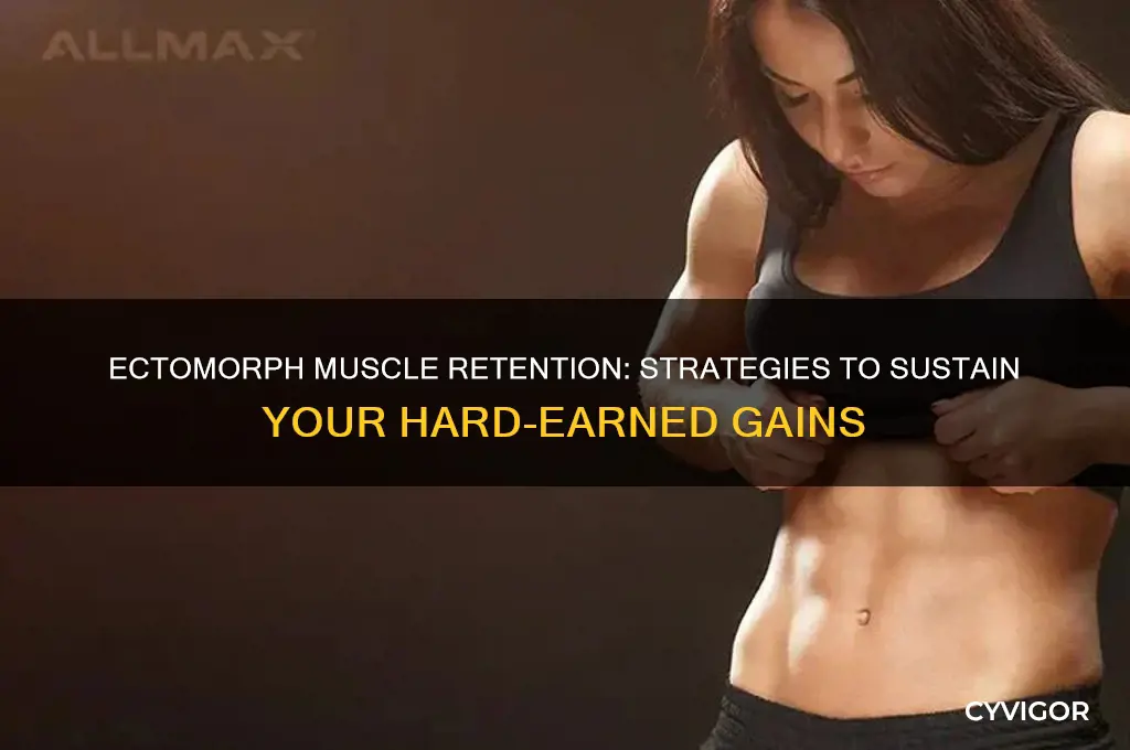 how to keep gained muscle ectomorph
