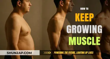 Sustainable Muscle Growth: Proven Strategies for Continuous Strength Gains