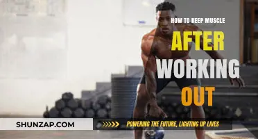 Maintain Muscle Mass: Post-Workout Strategies for Long-Term Results