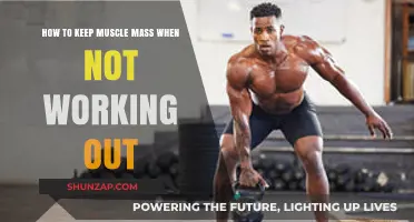 Maintain Muscle Mass: Strategies for Non-Workout Periods