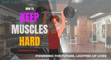 Keep Your Muscles Hard: Tips for Maintaining Definition