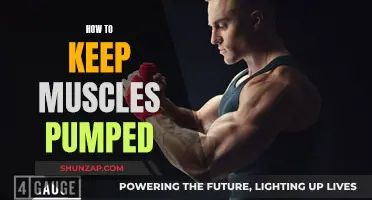 Maintain Muscularity: Strategies for Sustaining Muscle Pump