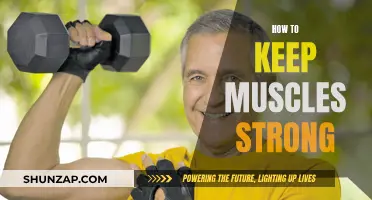 Building Muscle Strength: Strategies for Longevity