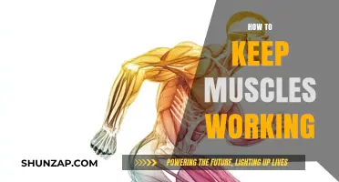 Maximize Muscle Function: Essential Tips for Sustained Strength and Endurance