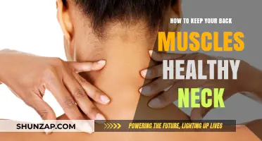 Maintaining a Healthy Back and Neck: Essential Tips and Exercises
