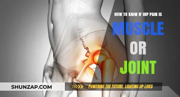 Hip Pain: Muscle Strain or Joint Issue? How to Tell