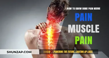 Identifying Bone, Nerve, and Muscle Pain: A Comprehensive Guide