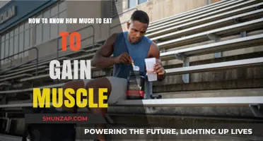 Master Muscle Gain: Calculate Your Ideal Daily Caloric Intake