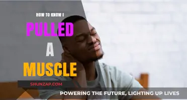 Identifying Pulled Muscles: Symptoms, Causes, and Quick Recovery Tips