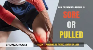 Sore or Pulled Muscle: Identifying the Difference and Taking Action