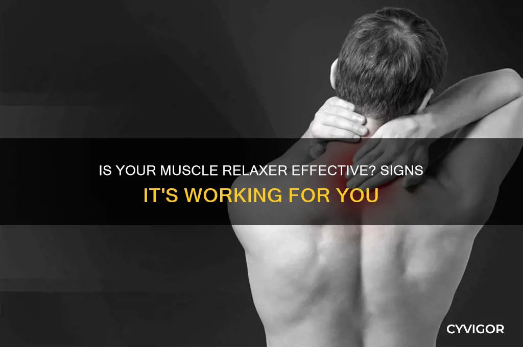 how to know if a muscle relaxer is working