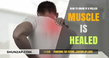 Signs Your Pulled Muscle Has Healed: A Complete Recovery Guide