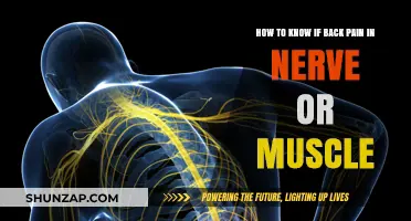 Is Your Back Pain Nerve-Related or Muscle-Related? How to Tell