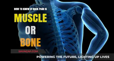 Muscle or Bone: Identifying the Source of Your Back Pain