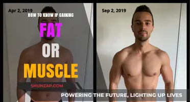 Fat or Muscle: Decoding Your Body's Transformation Journey