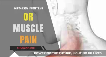 Heart Pain or Muscle Pain: How to Tell the Difference
