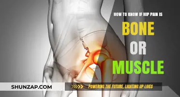 Hip Pain: Identifying Bone vs. Muscle Causes and Symptoms