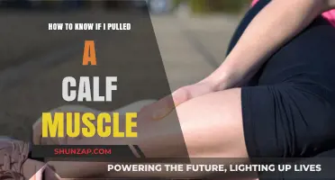 Pulled Calf Muscle: Signs, Symptoms, and Self-Diagnosis Guide