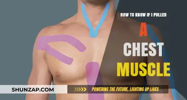 Identifying a Pulled Chest Muscle: Symptoms, Causes, and Recovery Tips