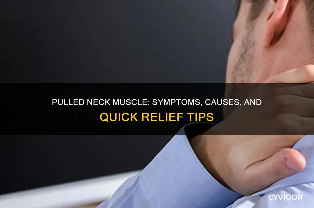 how to know if i pulled a neck muscle