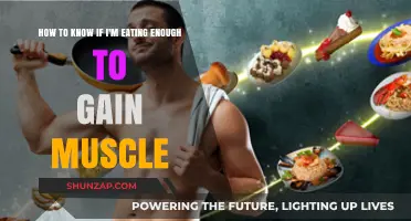 Fuel Your Gains: Signs You're Eating Enough for Muscle Growth