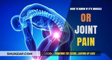 Muscle or Joint Pain: Identifying the Source and Symptoms