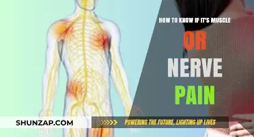 Muscle or Nerve Pain: Identifying the Source and Symptoms
