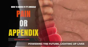Muscle Pain or Appendix Issue? How to Tell the Difference
