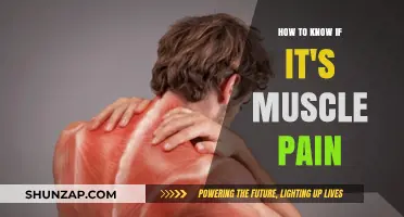 Identifying Muscle Pain: Key Signs and Symptoms to Recognize