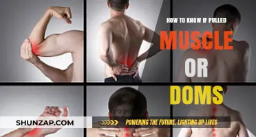 Pulled Muscle or DOMS: How to Tell the Difference