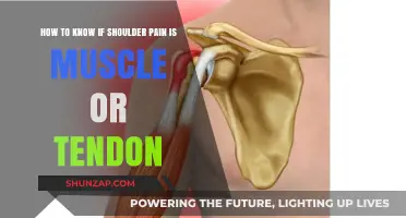 Identifying Shoulder Pain: Muscle Strain vs. Tendon Injury Explained
