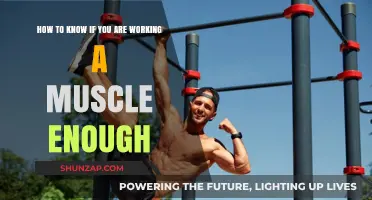 Maximizing Muscle Growth: Signs You're Training Hard Enough