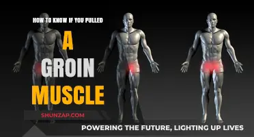 Pulled Groin Muscle: Symptoms, Causes, and Recovery Tips Explained