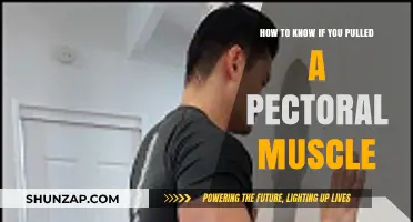 Identifying a Pulled Pectoral Muscle: Symptoms and Diagnosis Guide