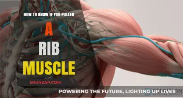 Identifying a Pulled Rib Muscle: Symptoms, Causes, and Treatment Tips