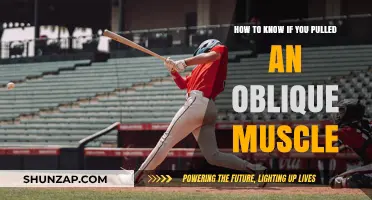 Identifying a Pulled Oblique Muscle: Symptoms and Diagnosis Guide