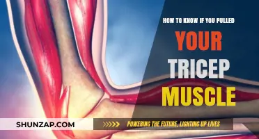 Pulled Tricep Muscle: Symptoms, Causes, and Recovery Tips