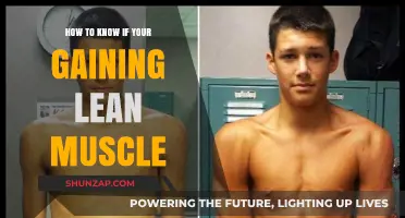 Signs You're Building Lean Muscle: Tracking Progress Effectively