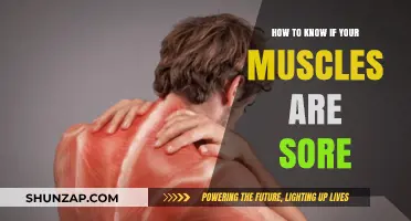 Recognizing Muscle Soreness: Signs, Causes, and Recovery Tips
