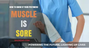 Identifying Pectineus Muscle Soreness: Symptoms, Causes, and Relief Tips