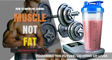 Muscle Gain vs. Fat: How to Track Your Progress Accurately