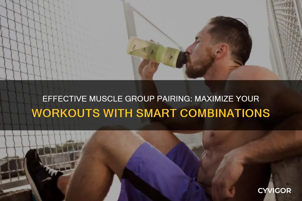 how to know what muscle groups to work together