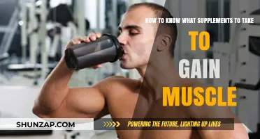 Muscle-Building Supplements: How to Choose the Right Ones for You