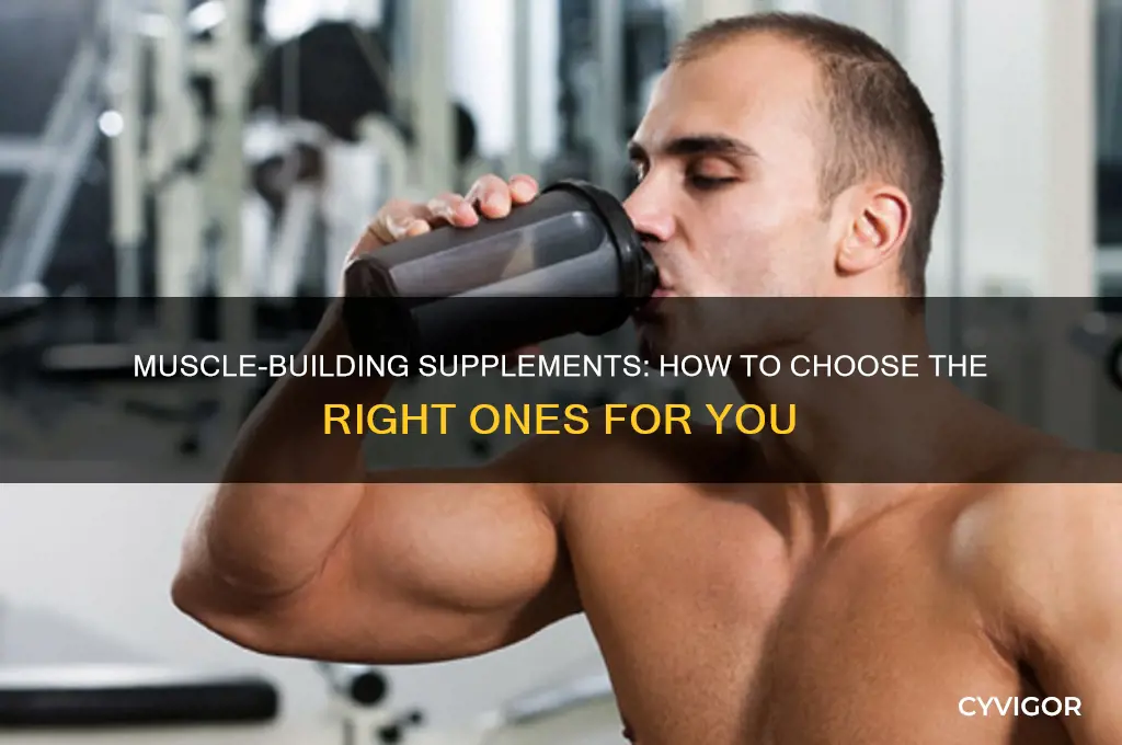 how to know what supplements to take to gain muscle
