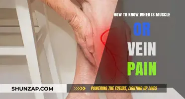 Muscle vs. Vein Pain: Identifying the Source and Symptoms