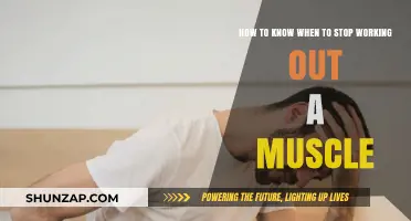 Recognizing Muscle Fatigue: When to Pause Your Workout Routine