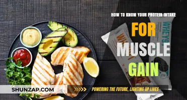 Calculate Your Protein Intake for Optimal Muscle Gain: A Guide