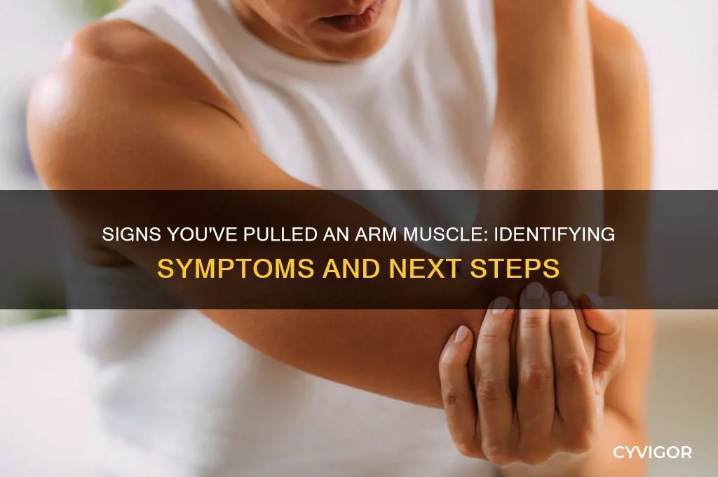 how to knwo if i pulled a arm muscle