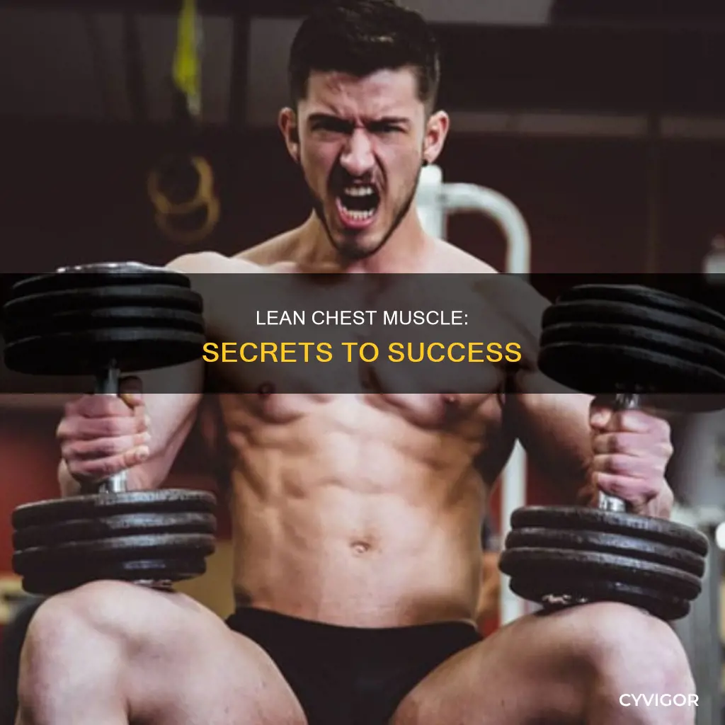 how to lean chest muscle