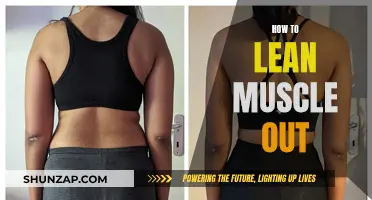 Building Lean Muscle: A Guide to Toning Up